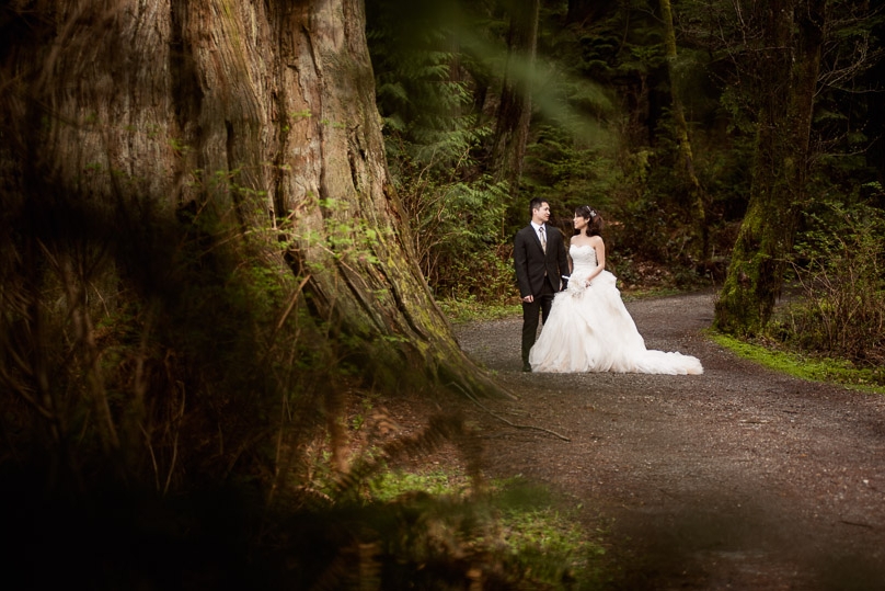 bride groom stanley park vancouver walk